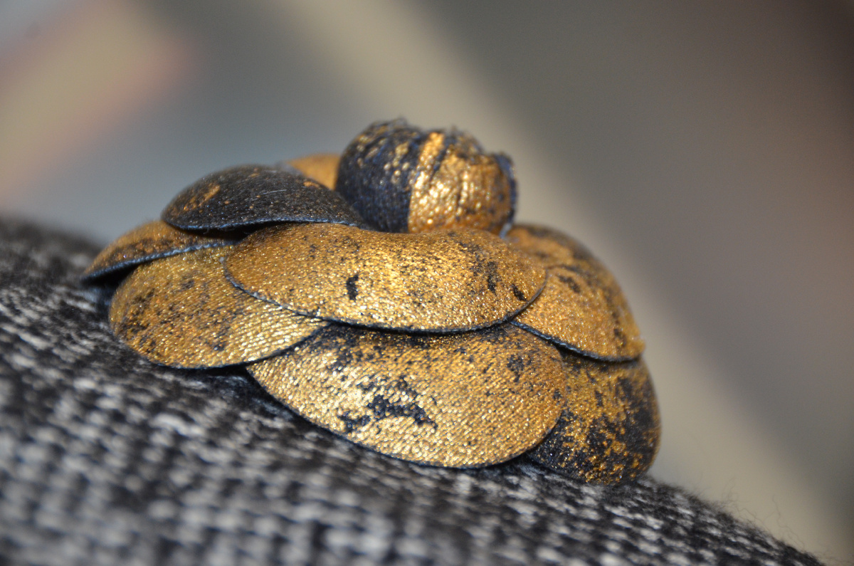 Черно-золотая Камелия