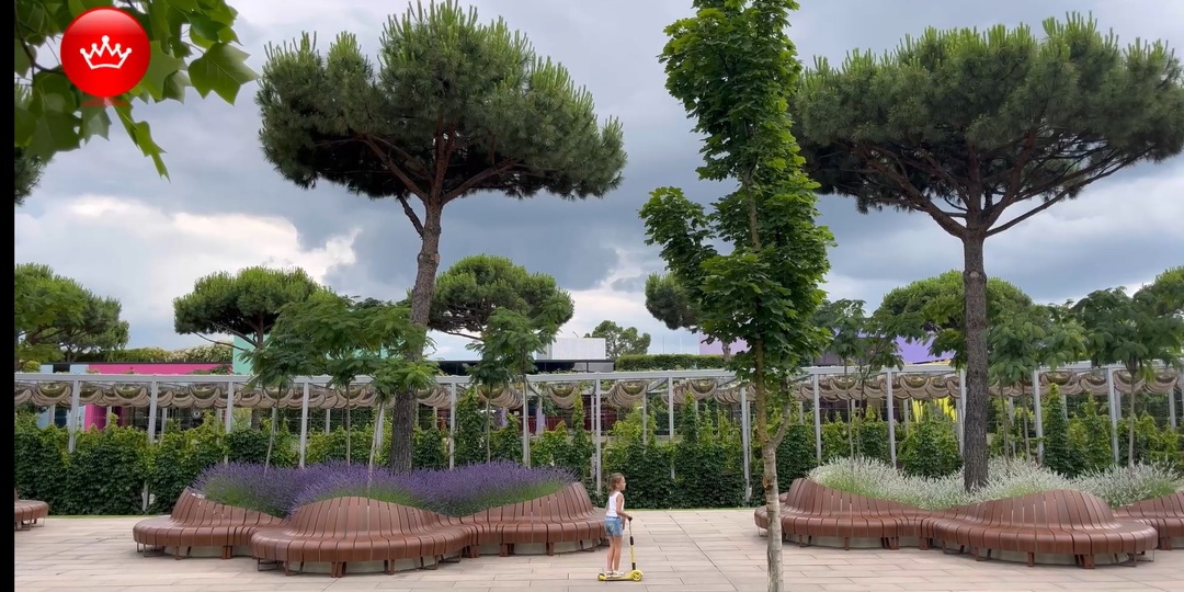 Интересные локации в Парке Галицкого: что стоит посетить.