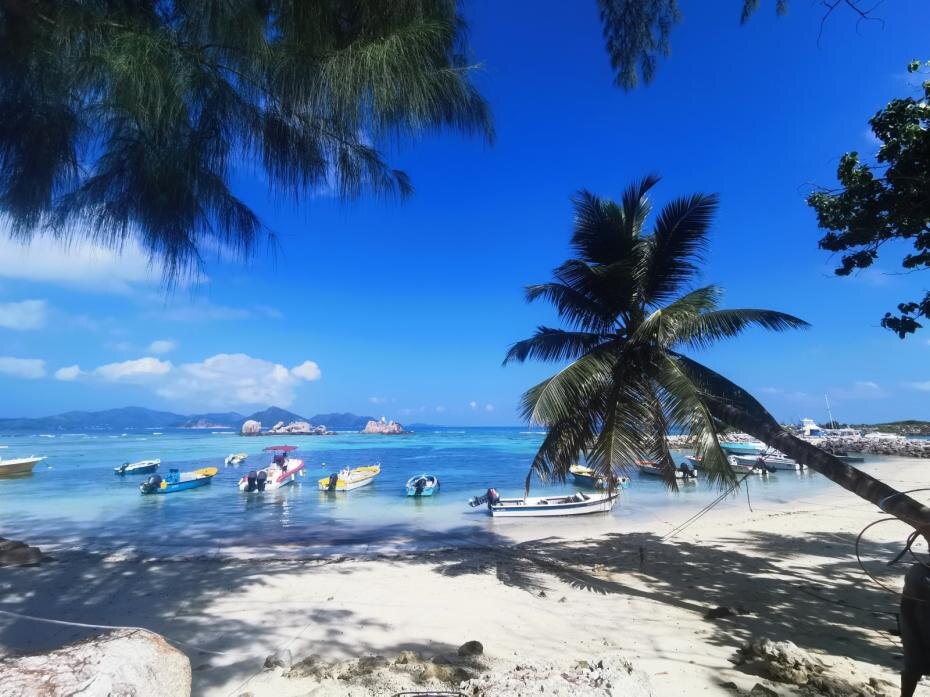    Alexandra Schuler/dpa/Global Look Press