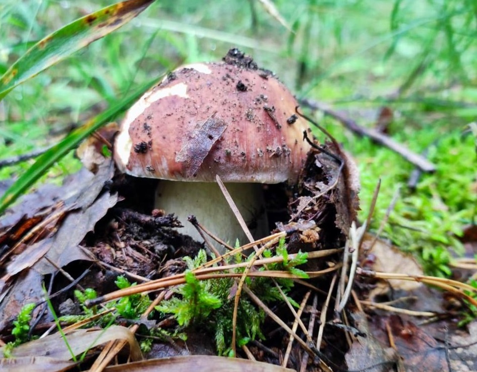    Мэр рассказал, как проводит выходные вместе с семьей