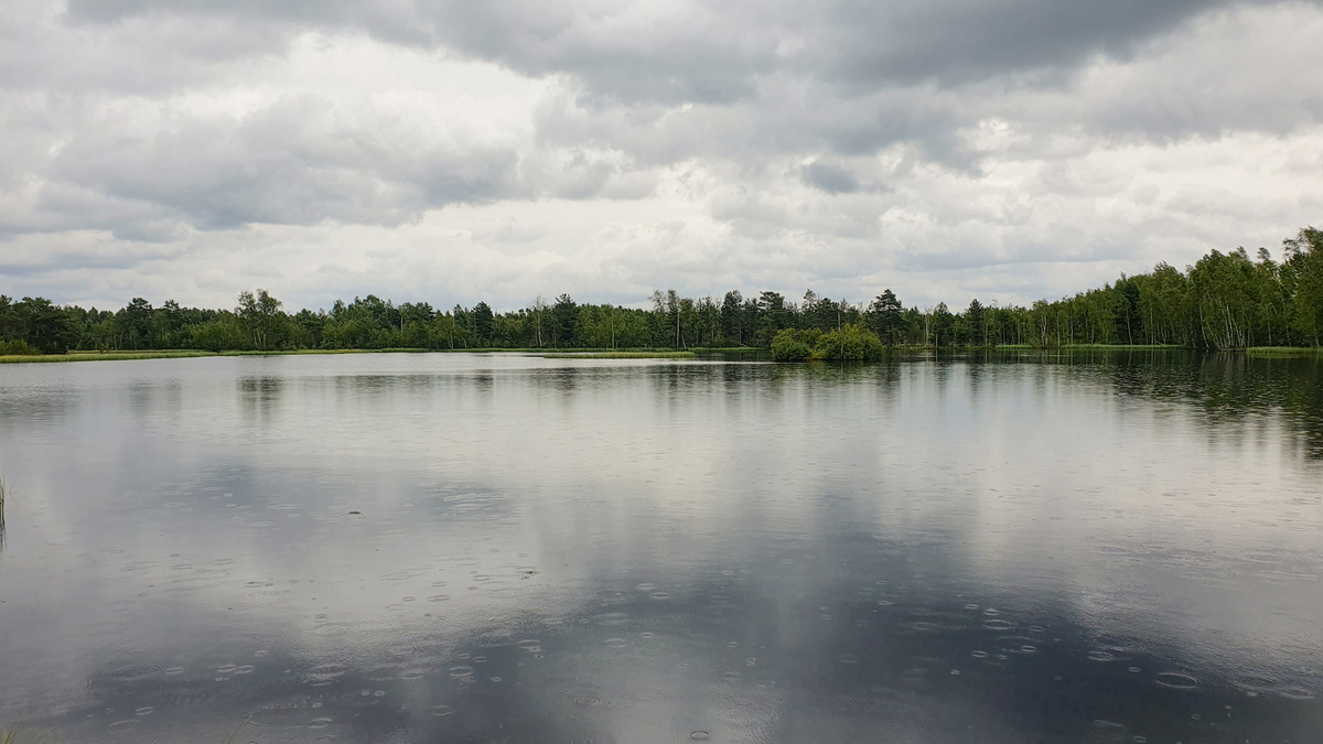 Дождь на воде видно - вот такой у нас мокрый июль.