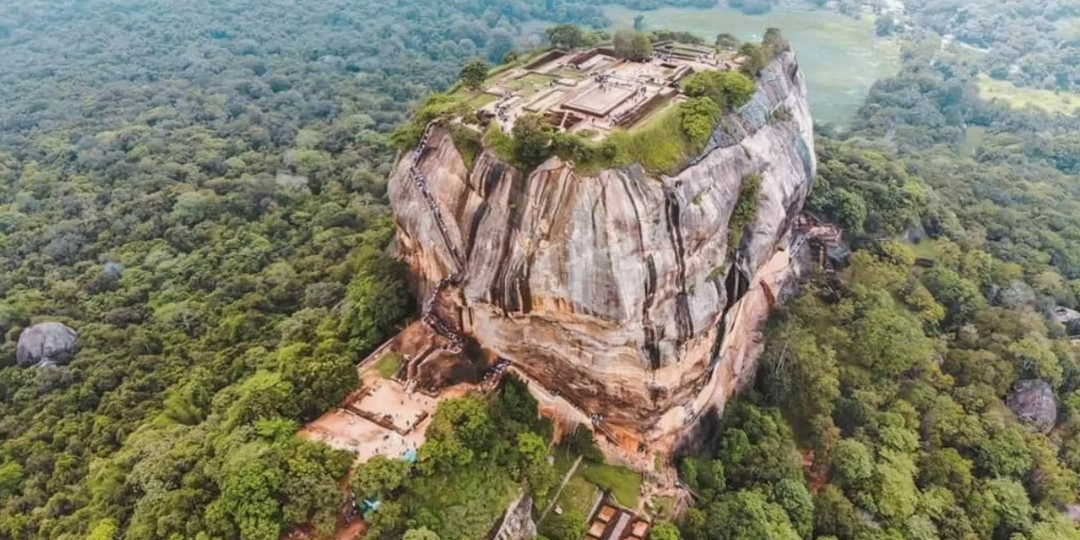 В Раю были рептилоподобные существа?