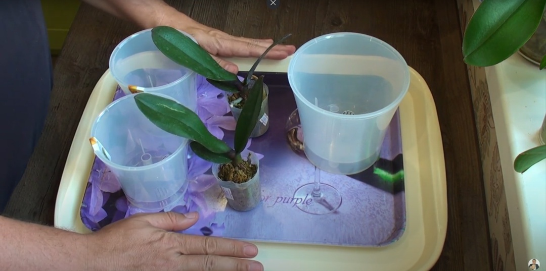 Создать карусель