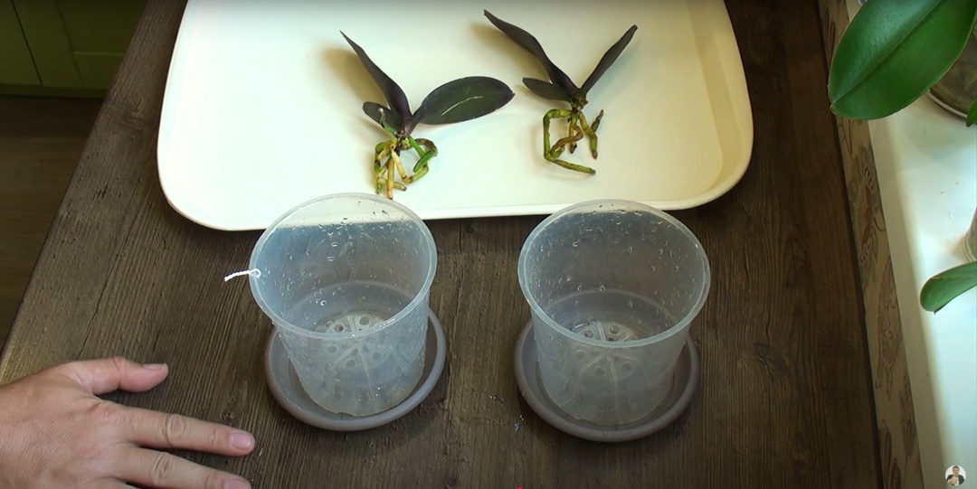 Создать карусель