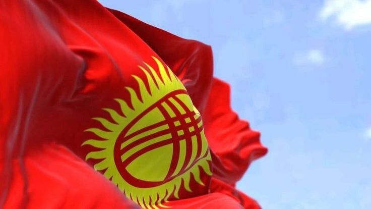    Фото: rarrarorro/Shutterstock/Fotodom