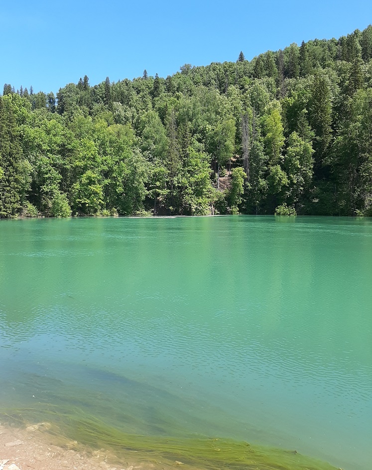 Цвет воды в роднике Красный ключ. Автор фото: Ирина Дорофеева