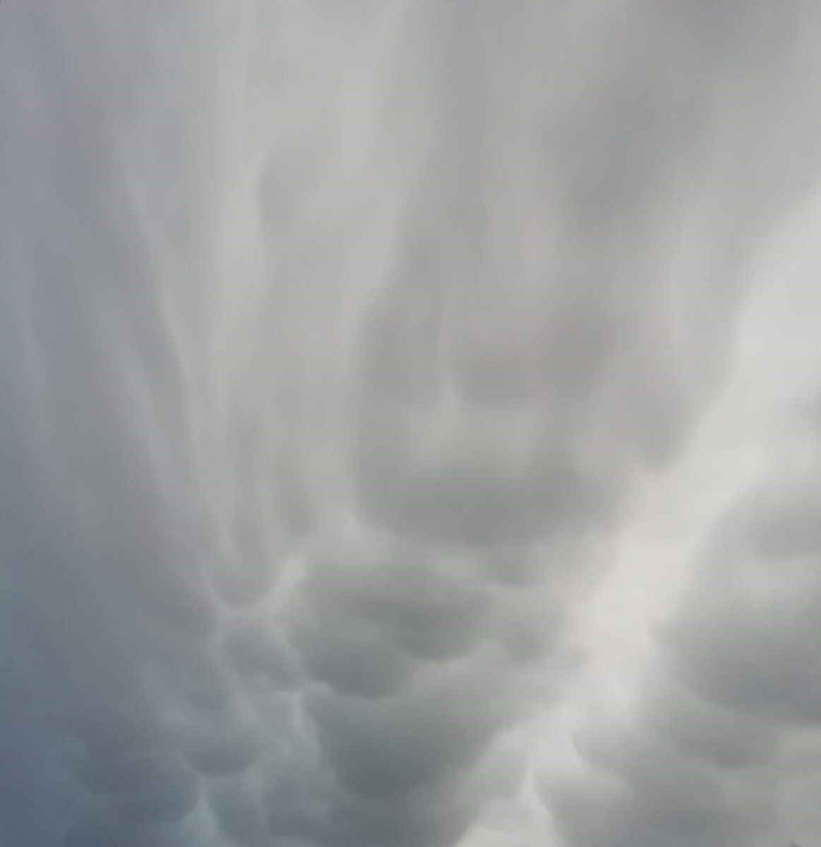 Что-то тучи набежали, может будет дождь.