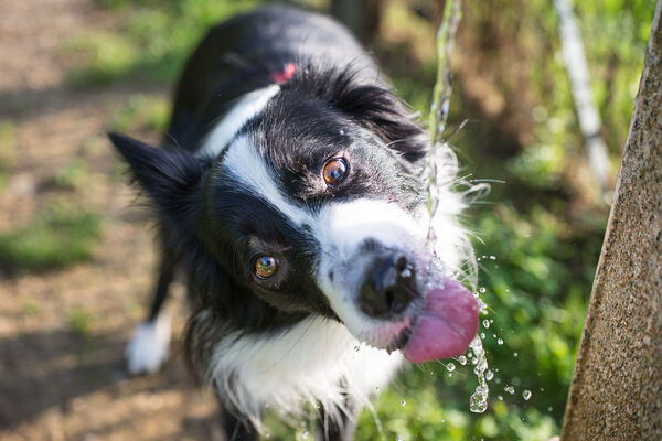 Depositphotos    📷