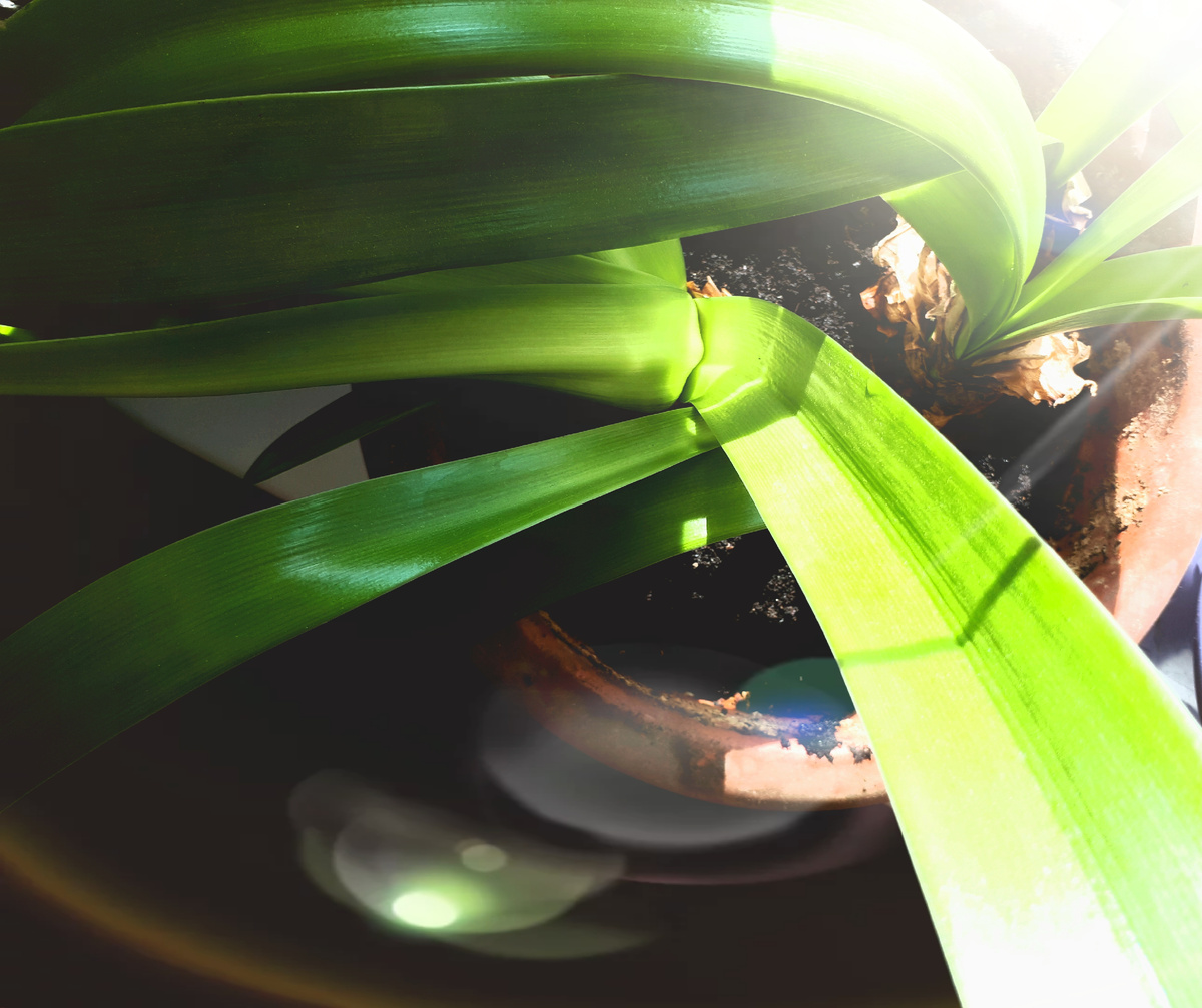 Фото автора 06.07.2025г.