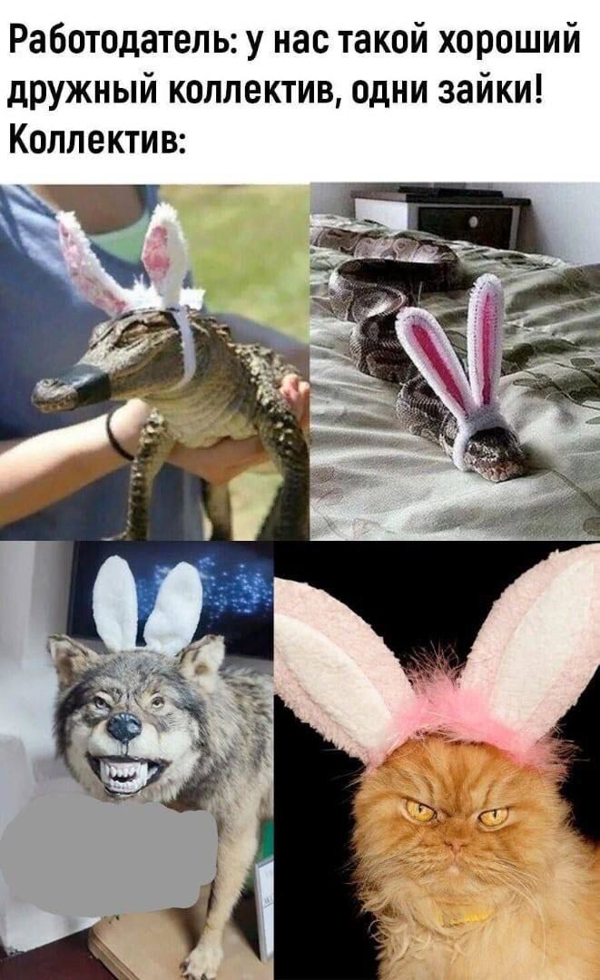 Фото из сети интернет