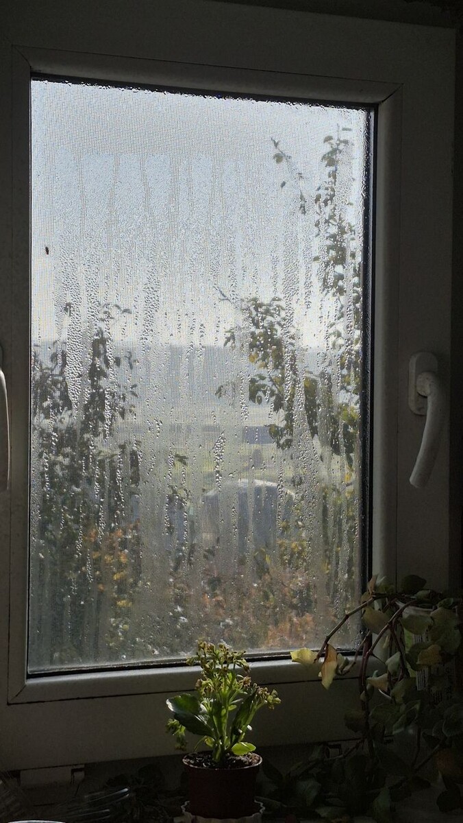 Как подготовить окна к сезону дождей?