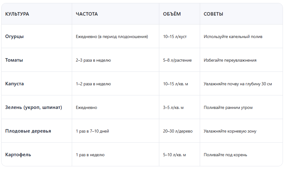 Частота полива: таблица для популярных культур