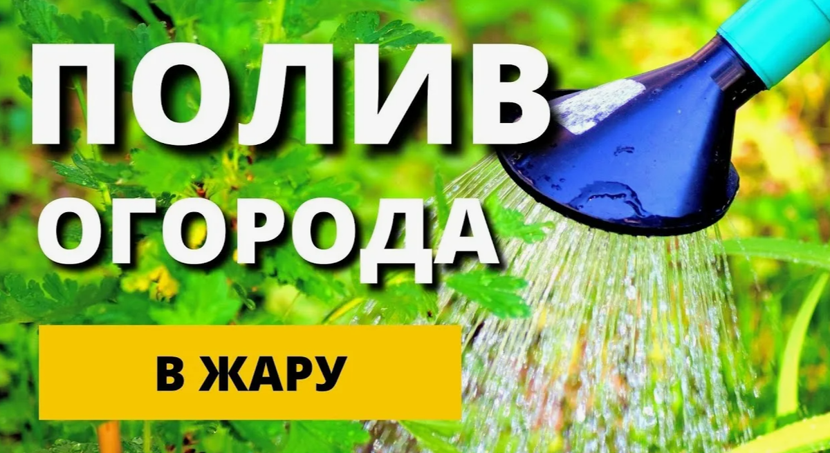 Полив в жару: