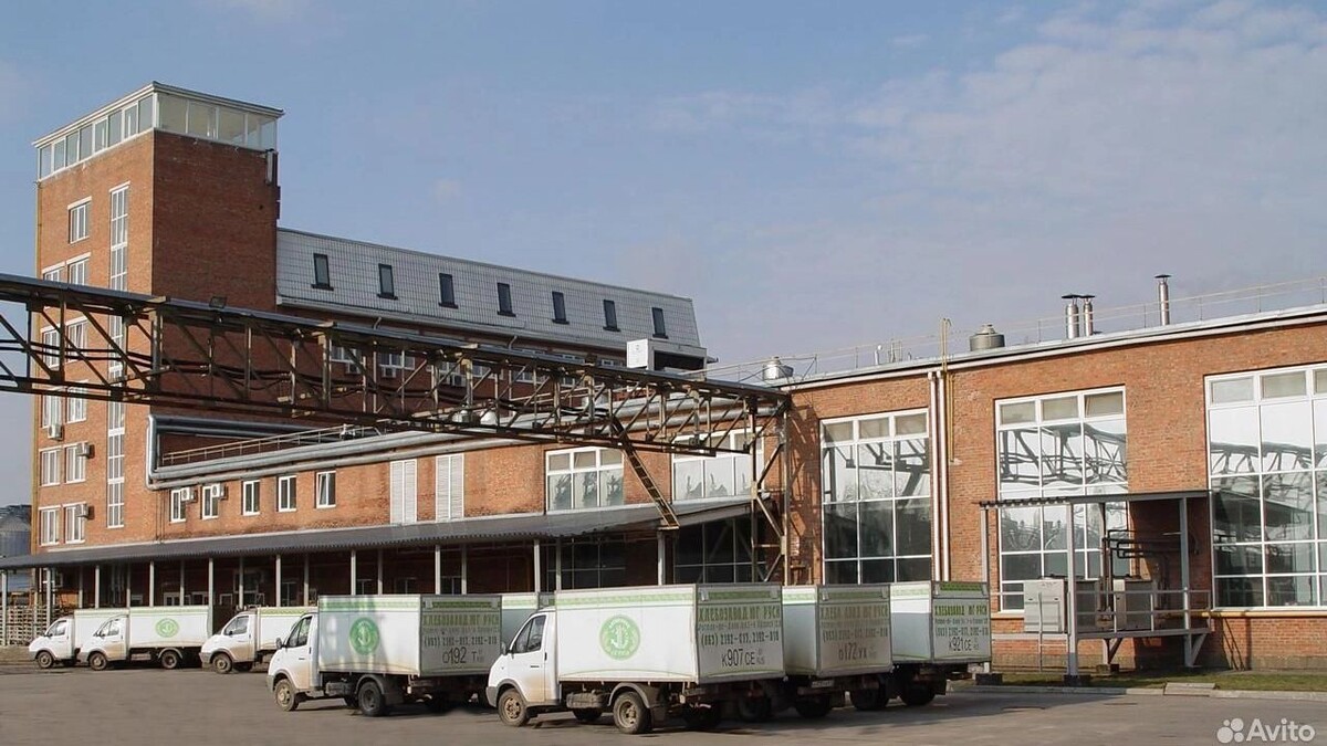     Источник: «Авито»