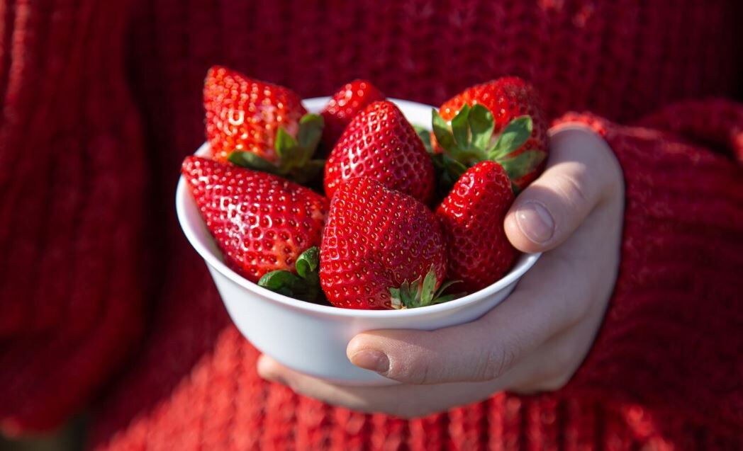 Источник фото: freepik.com