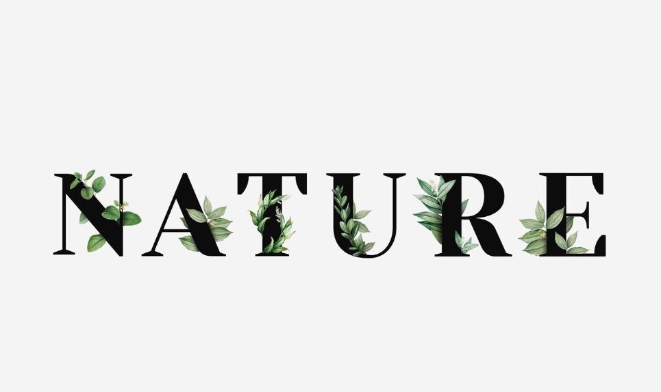 Источник фото: freepik.com