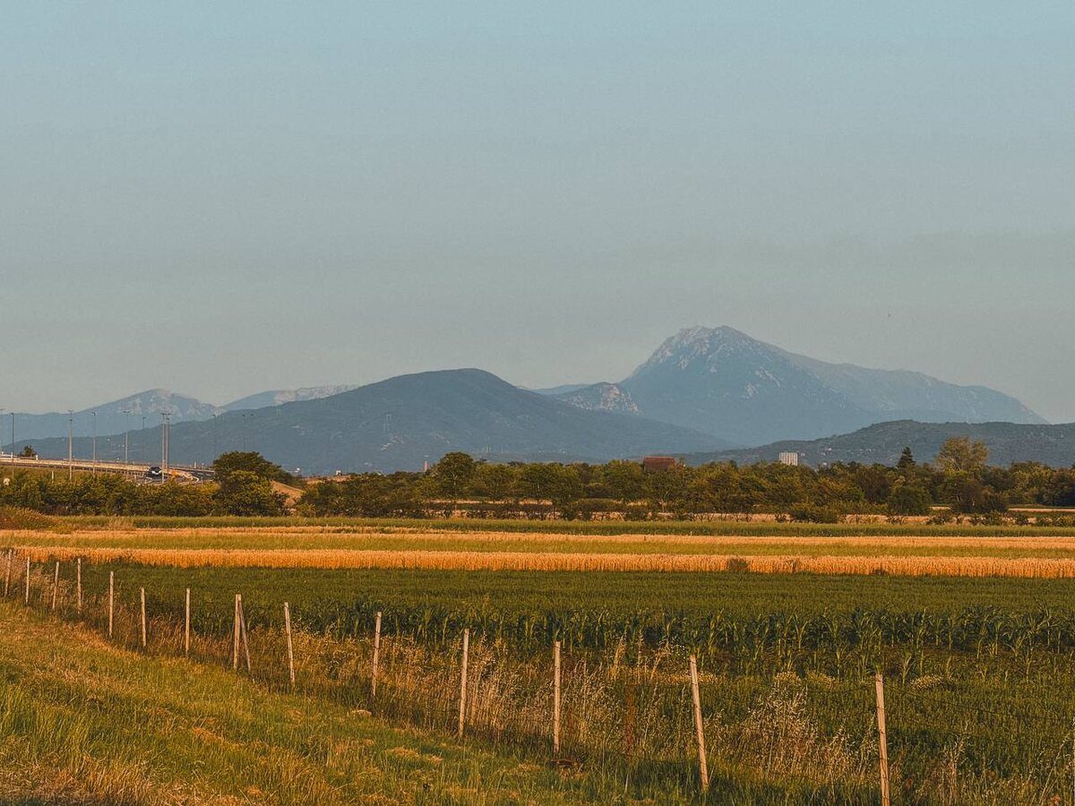 По дороге к Нишу виднелись горы национального парка Стара Планина
