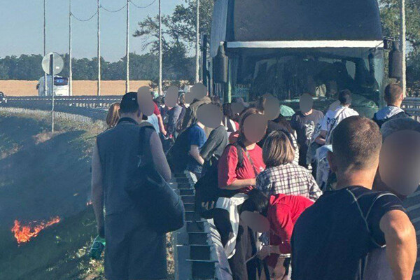 Telegram-канал «Stavropol.Media»  📷