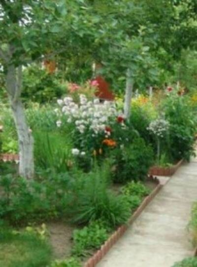 удобренная почва