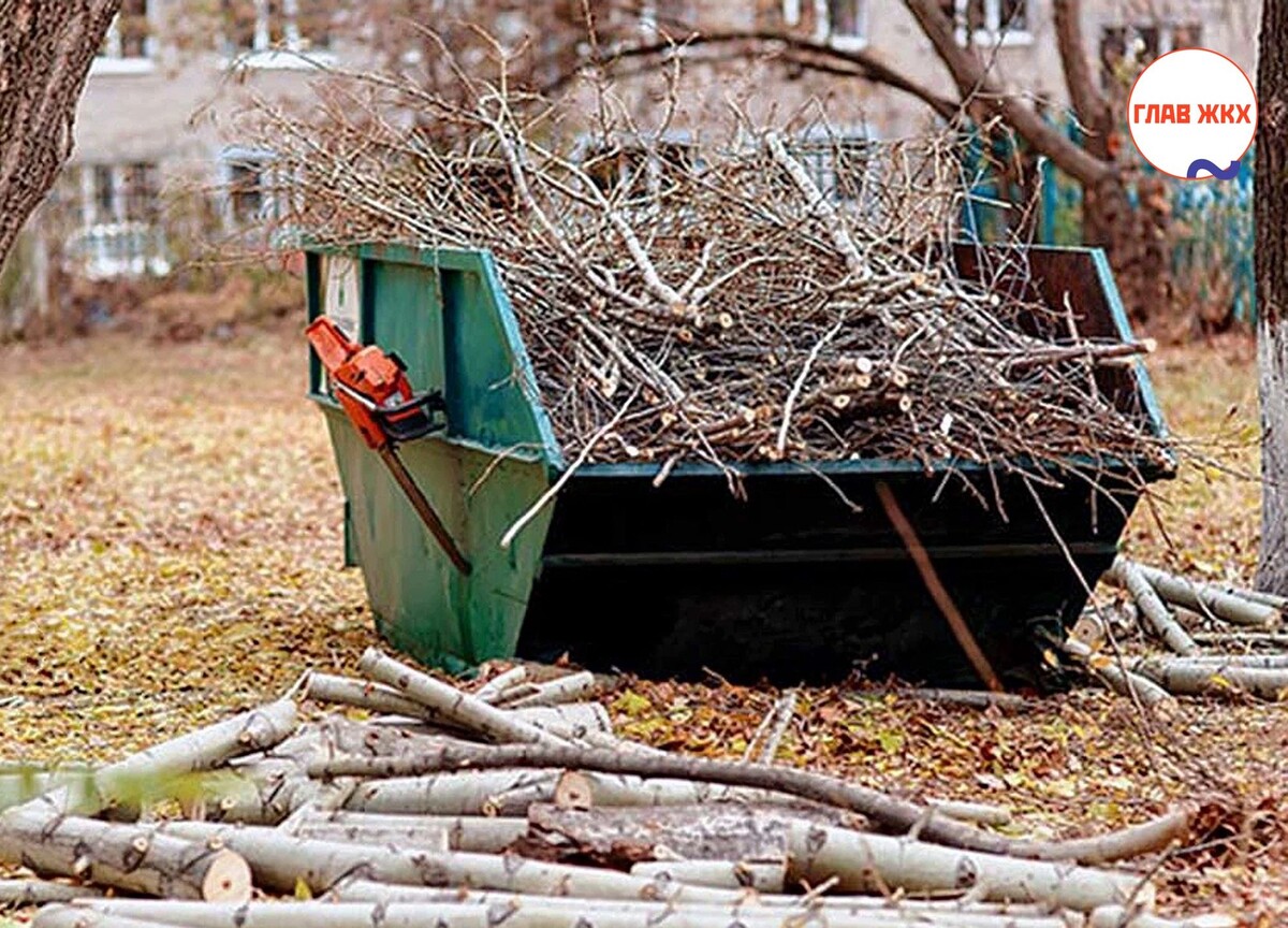 Отходы от зеленых насаждений законодательно приравняют к твердым коммунальным отходам
