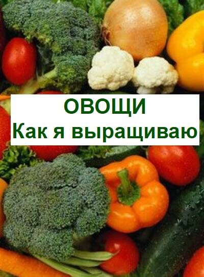 выращивание овощей