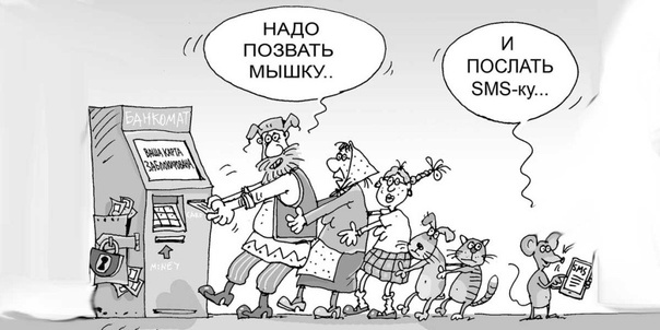 Яндекс картинки