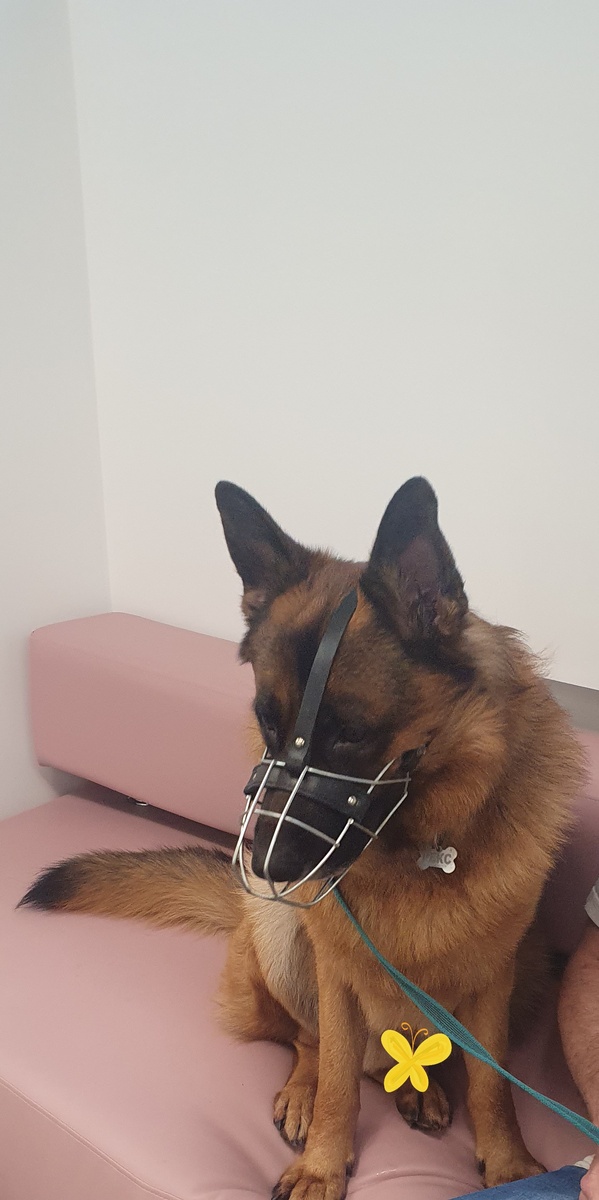 В клинике, когда ездили на вакцинацию. За неделю до кардиолога