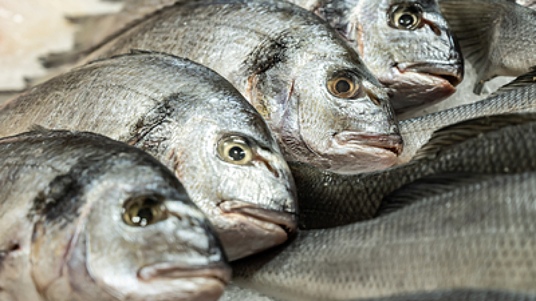    Ruslan Yarocky/Globallookpress