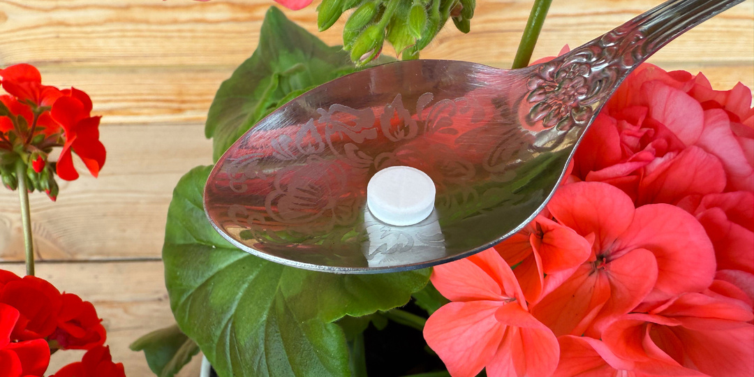 💊🌷1 таблетка на литр воды и оживёт самый хилый цветок.