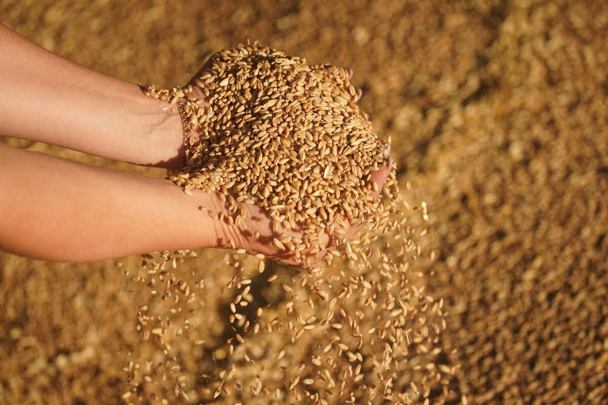     / Источник: © ИЗВЕСТИЯ/Эдуард Корниенко