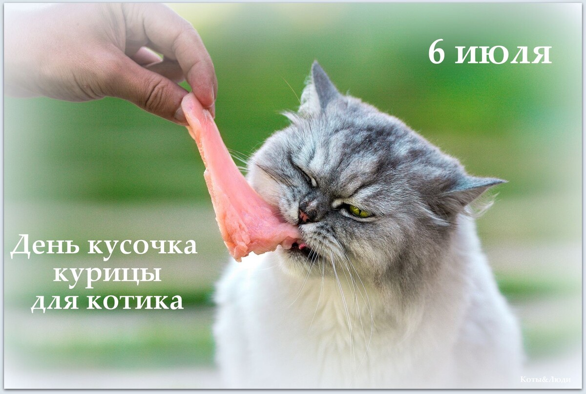 Коллаж автора. Использовано фото: https://au.pinterest.com/pin/420734790200285455/