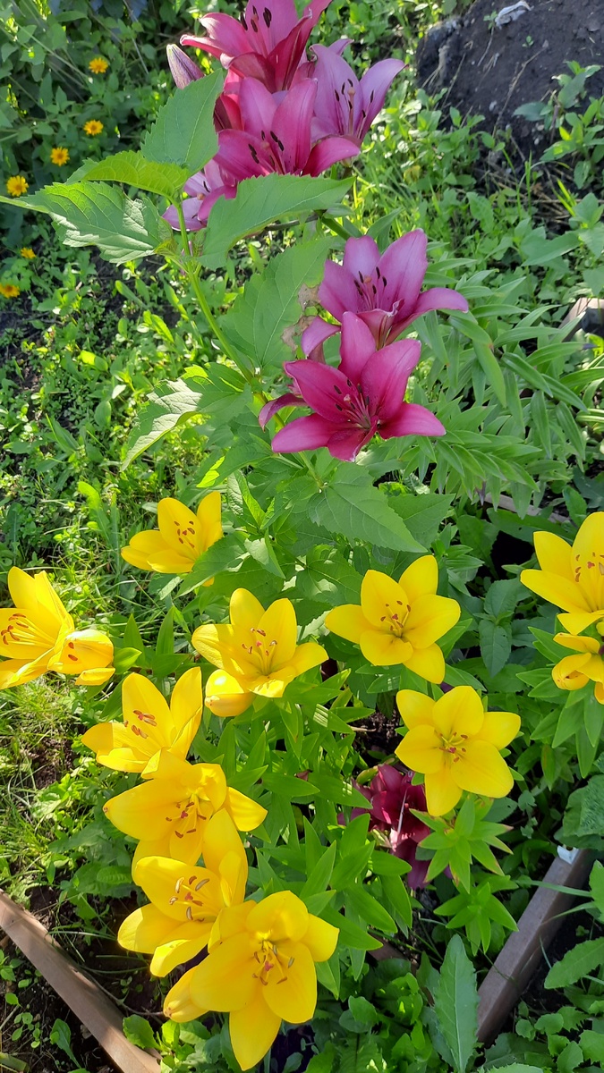 Вот такая красота