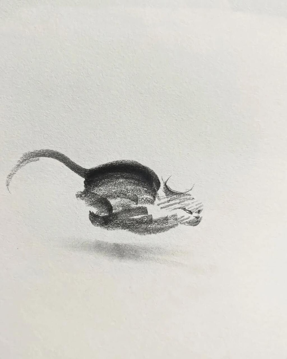 Рисунок художника Shou Xin (手訫)