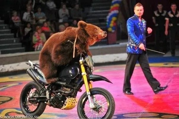 Фотография их открытых источников Яндекса