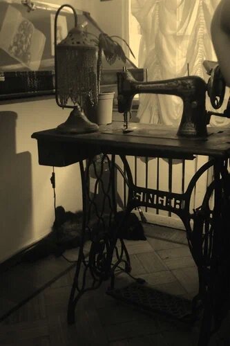 фото "найди кота"