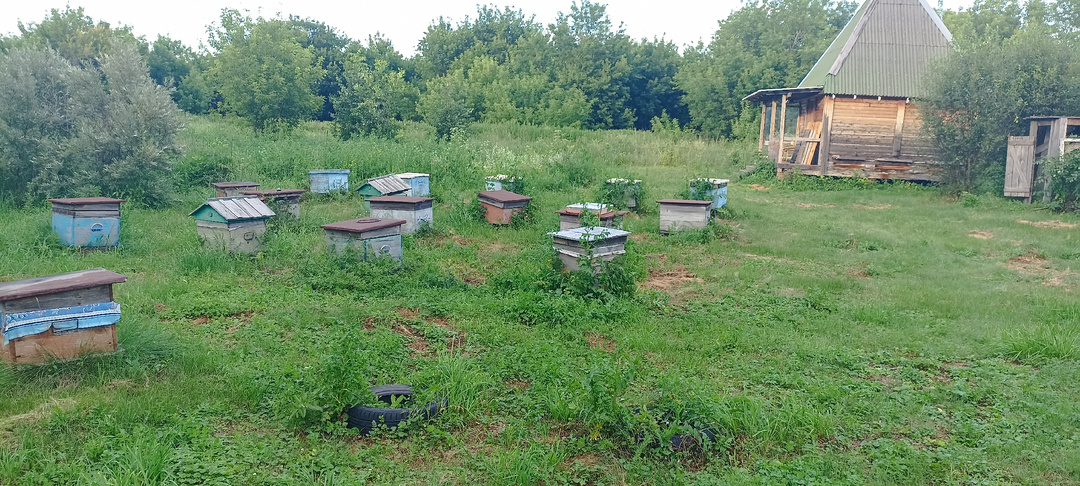 Испробовала сон на ульях. Что реально происходит с организмом. Мои впечатления