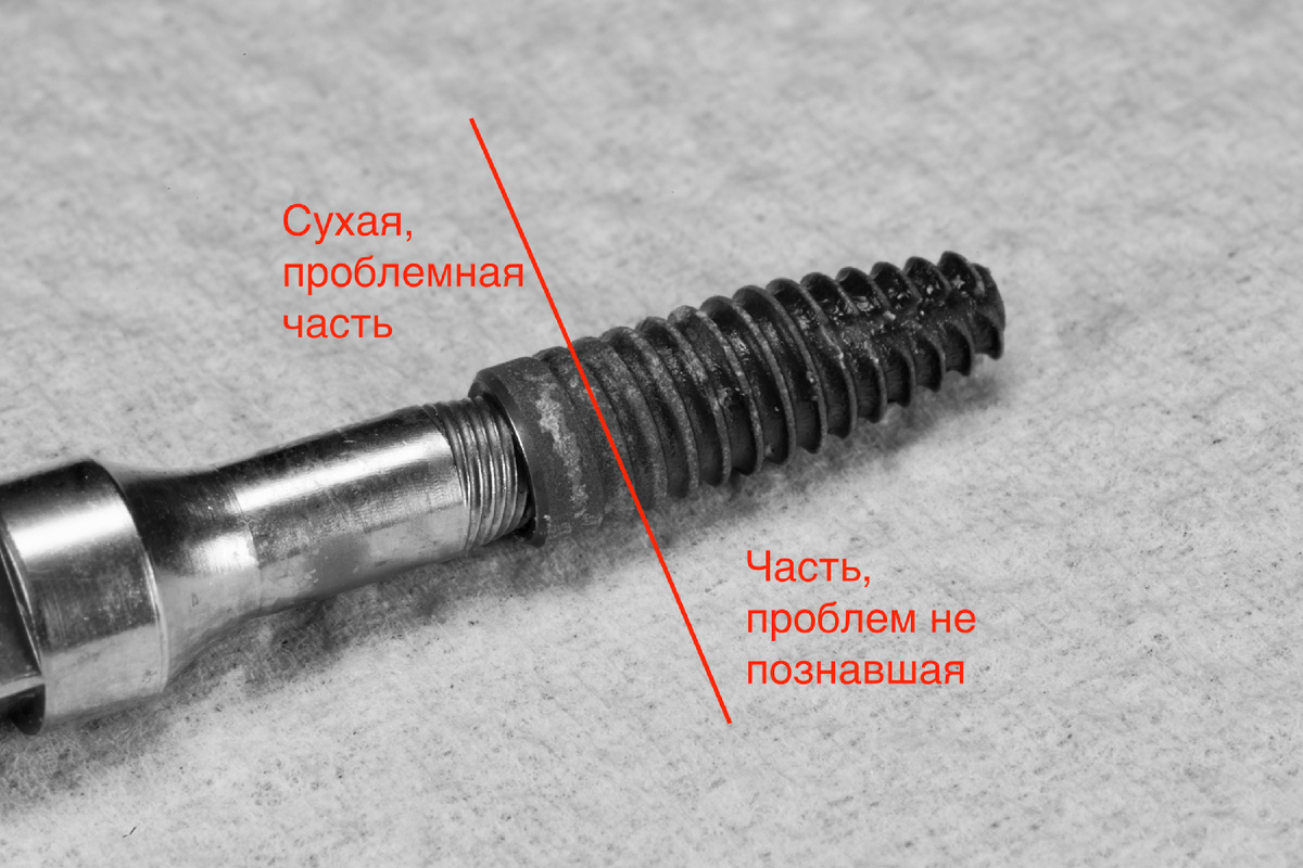 Имплантат Straumann после извлечения из кости