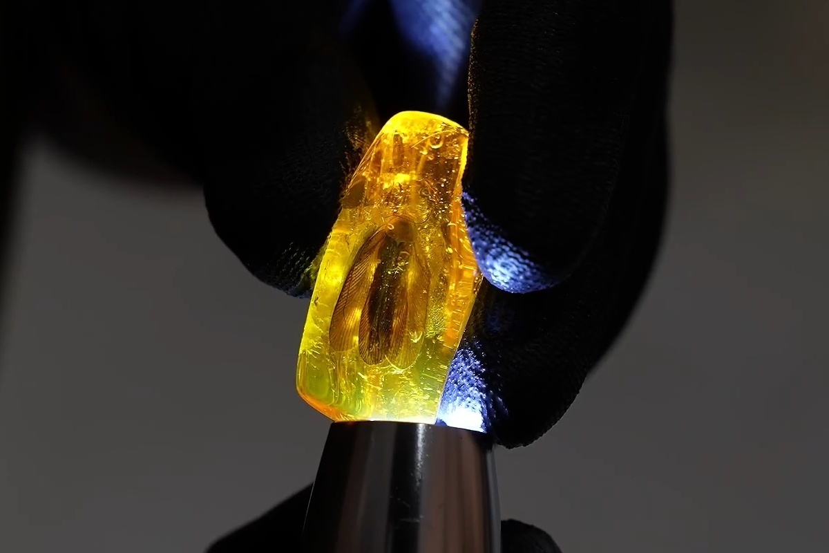 Фото: ambercombine.ru