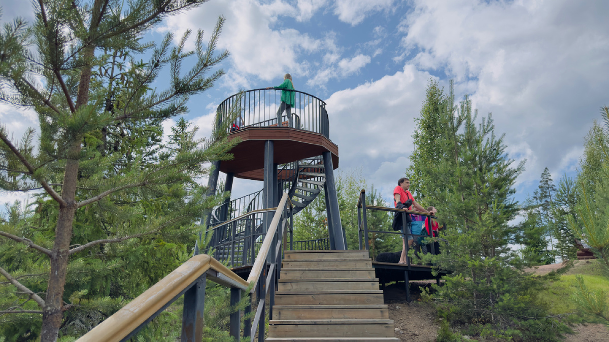 Тропа Ярви, дата прогулки 5 июля 2025 года / смотровая вышка гнездо