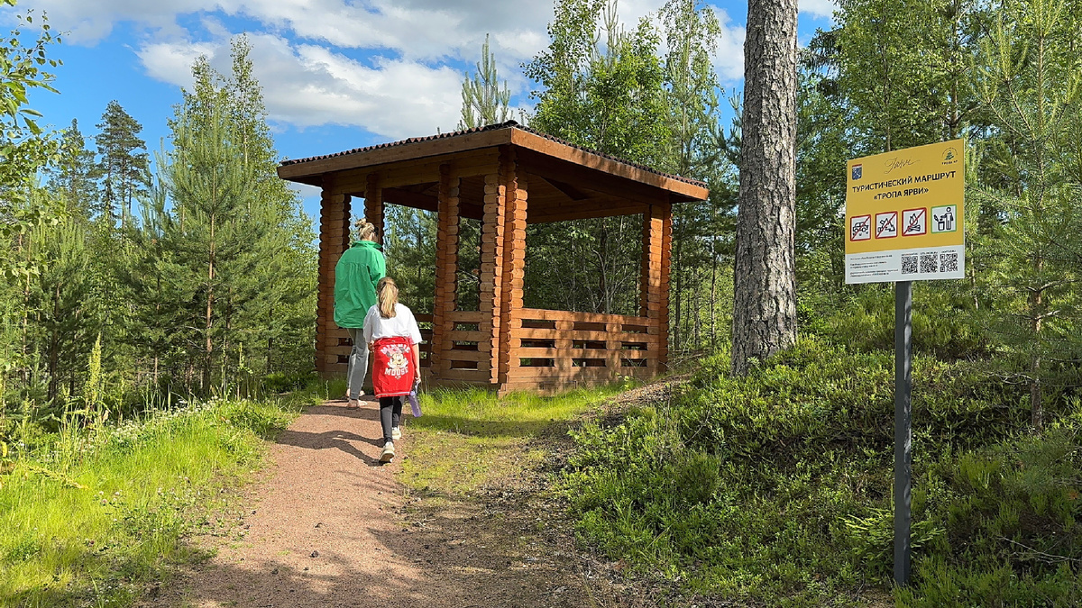 Тропа Ярви, дата прогулки 5 июля 2025 года