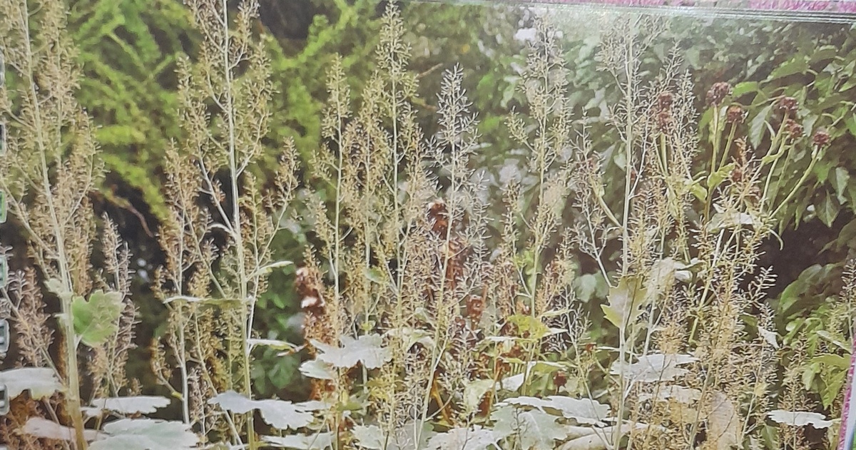 Фото автора канала