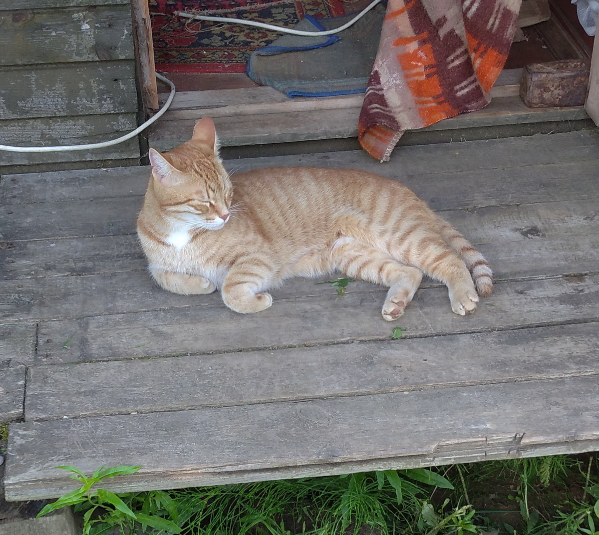 Личное фото