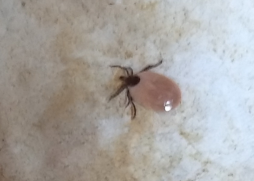 личное фото