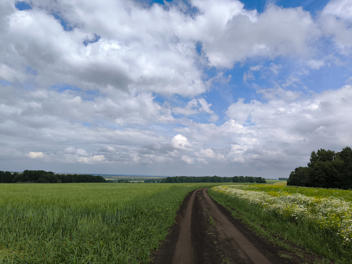 На горизонте можно углядеть заводы Кемерова