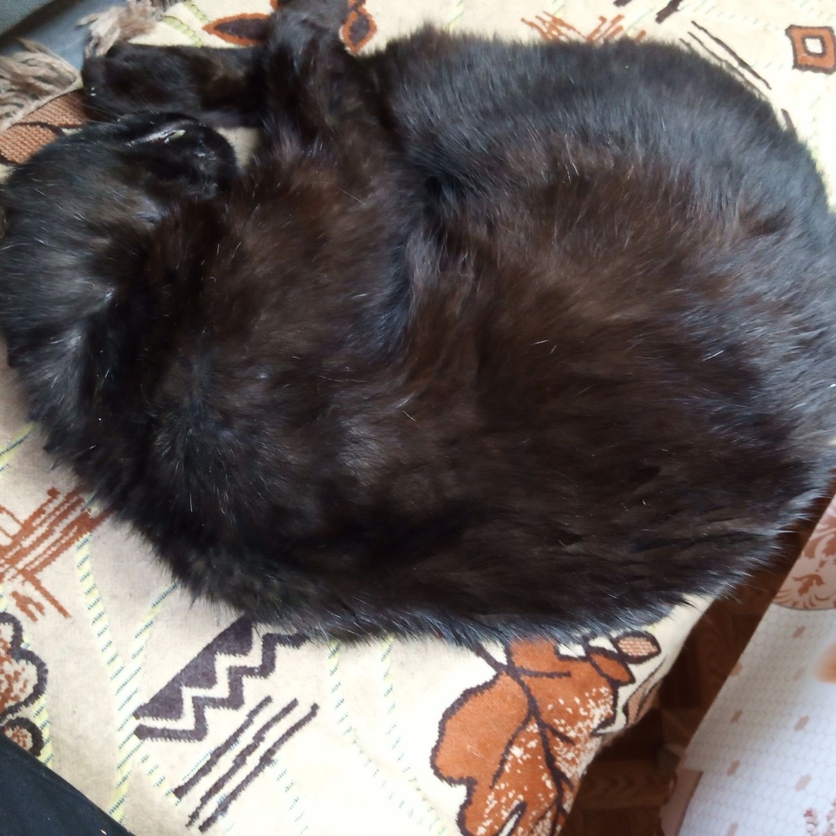 О Боже мой мягкий диван да по ближе к общепиту.