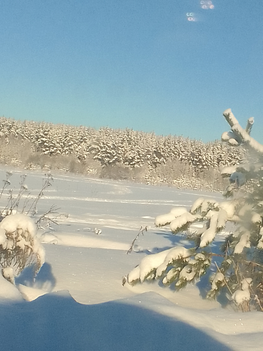 фото их архива Клопцова В.В.