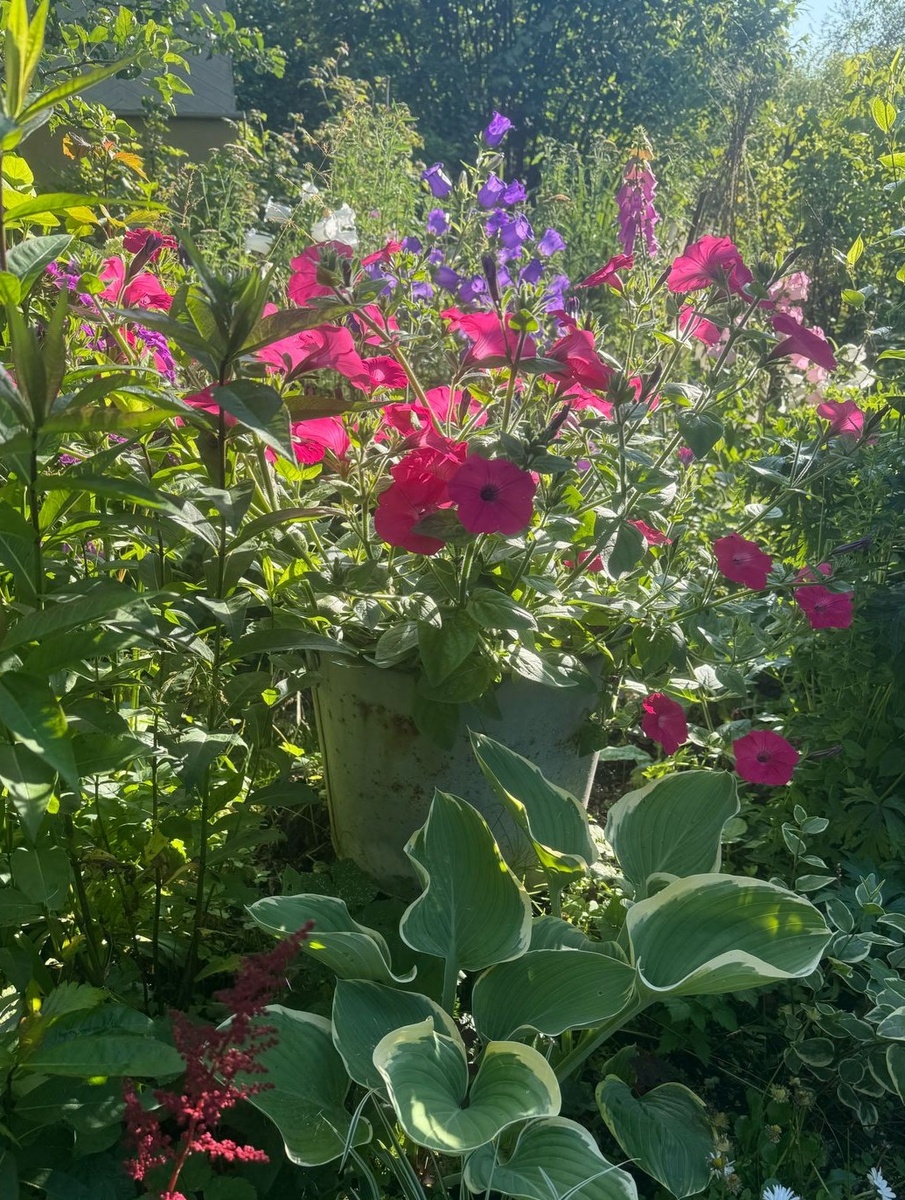 Моя любимая цветовая гамма