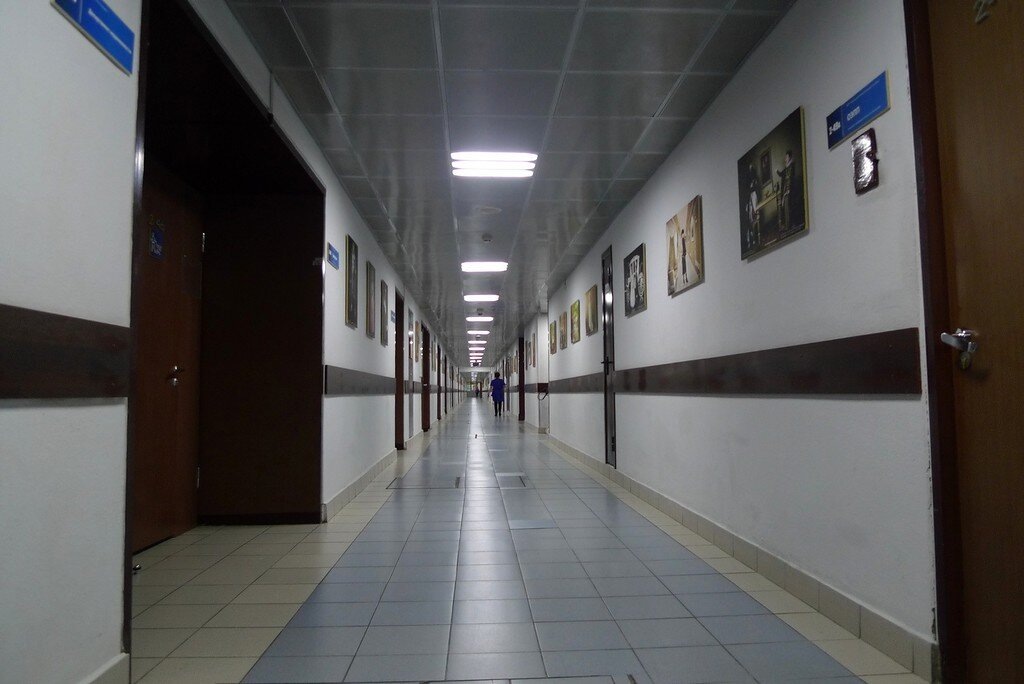 Фото из свободного доступа. 