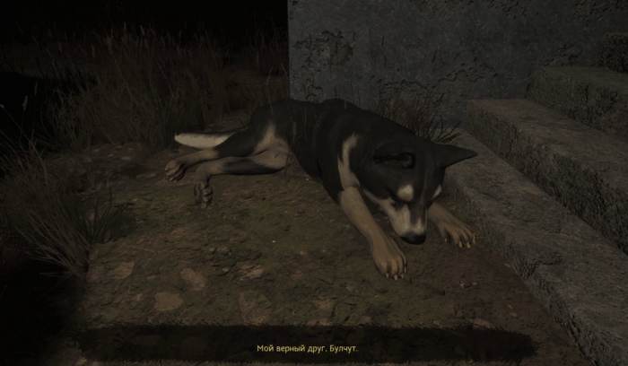 Gif картинка "Пёс по кличке Булчут"