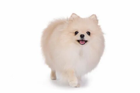 всем здрасте сор за отсутствие постараюсь завтра снять видео и да я научилась подбирать норм тринкеты